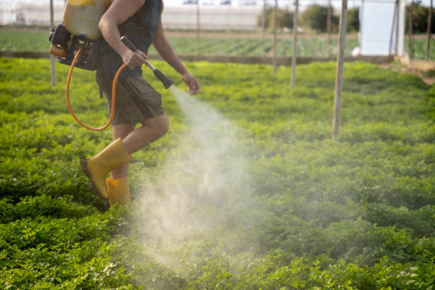 Pest Control Cost in St Elmo, IL