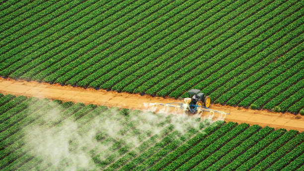Best Pest Control Cost  in St Elmo, IL