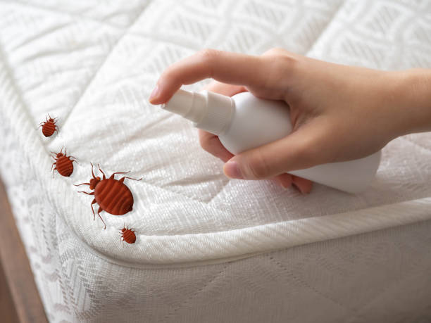 Pest Control for Restaurants in St Elmo, IL