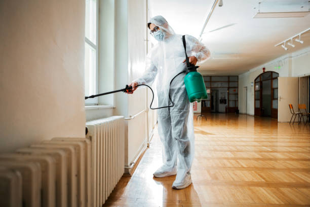 Best Termite Control Services  in St Elmo, IL