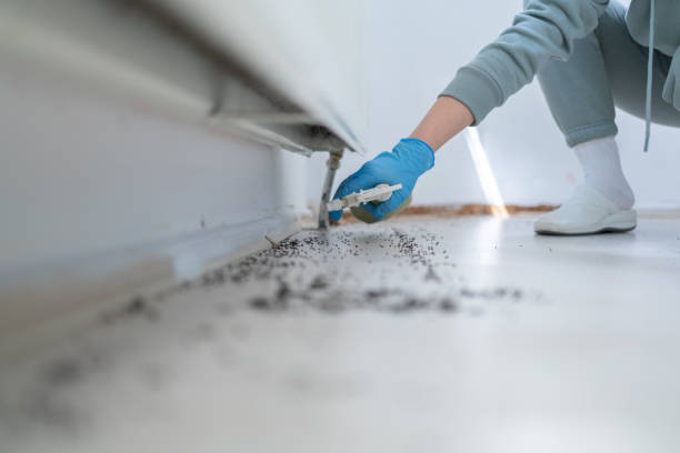  St Elmo, IL Pest Control Pros