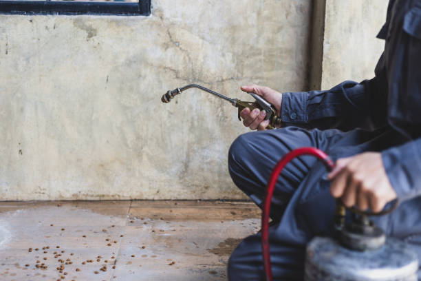 Best Pest Prevention Services  in St Elmo, IL